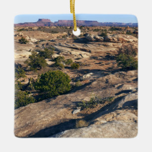 Pothole Point Trail im Canyonlands National Park Keramikornament