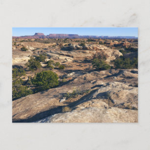 Pothole Point Trail im Canyonlands Nationalpark Postkarte