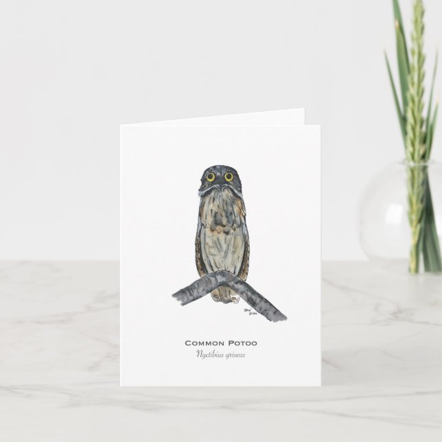 Potoo Bird-Notizkarte Karte (Vorderseite)