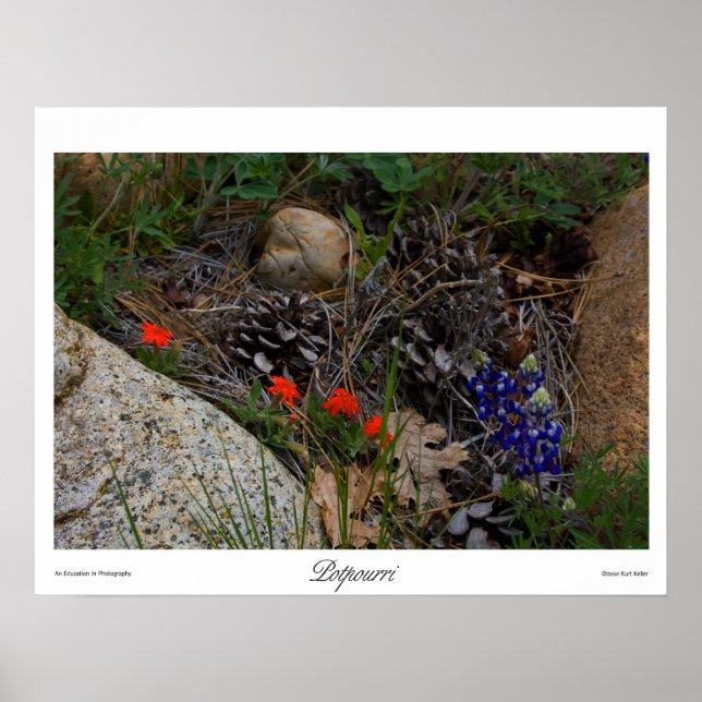 Potpourri Print Poster (Vorne)