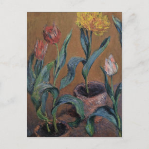 Pots of Tulips von Claude Monet Postcard Postkarte