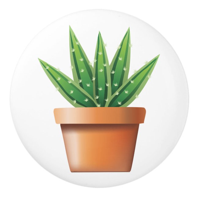 Potted Aloe Vera Keramikknauf (Vorderseite)