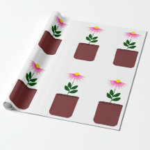 Potted Daisy Wrapping Paper