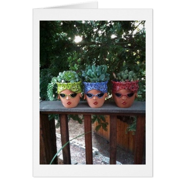 POTTED PFLANZE SAGEN IN AWE, DASS SIE **50** (Vorne)