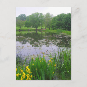 Potter Lake in Lawrence, Kansas, Postcard Postkarte