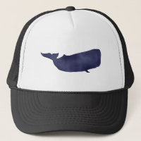 Pottwal sperm whale