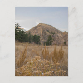 Poudre Canyon Colorado Postcard Postkarte