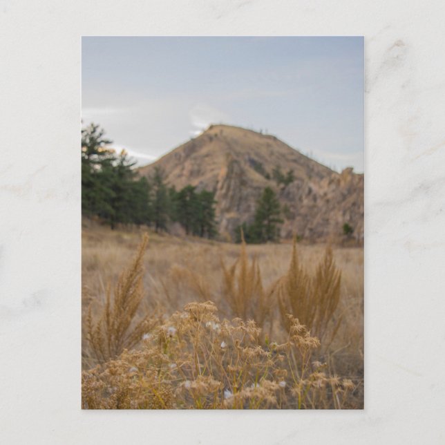 Poudre Canyon Colorado Postcard Postkarte (Vorderseite)