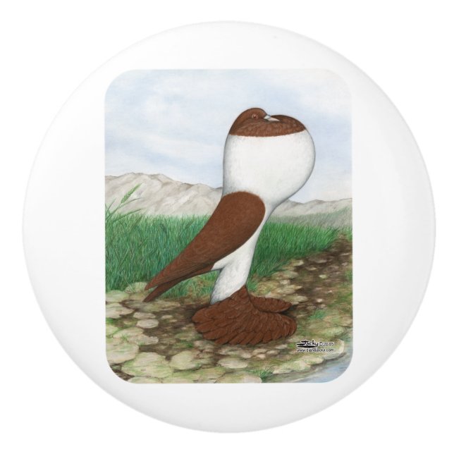 Pouter-Tauben-Rot Hana Keramikknauf (Vorderseite)