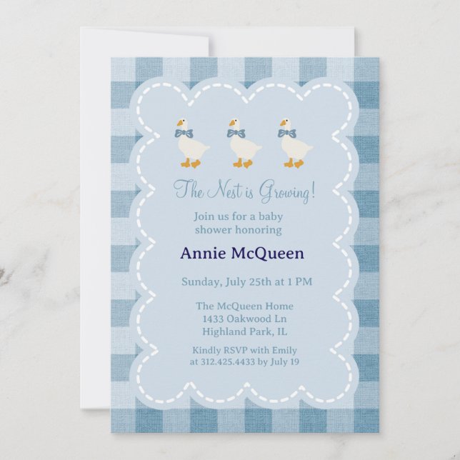 Powder Blue Gingham Goose Baby Shower Invitation Einladung (Vorderseite)