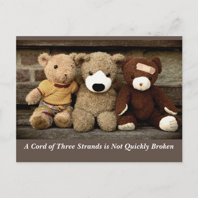 Power der Freundschaft Ecclesiastes 4:12 Postkarte (Vorderseite)