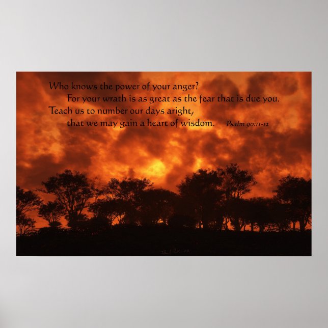 Power der Wut Poster (Vorne)