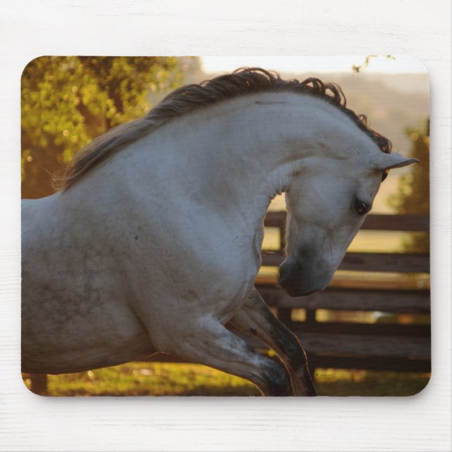 Power einer andalusischen Stute Mousepad (Vorne)