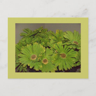 Power für grüne Blume Postkarte
