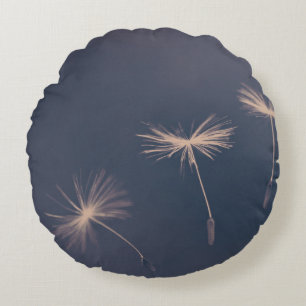 Power Kissen Kissen Kissen, Nachwirkung