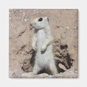 Power Ranger Squirrel Magnet