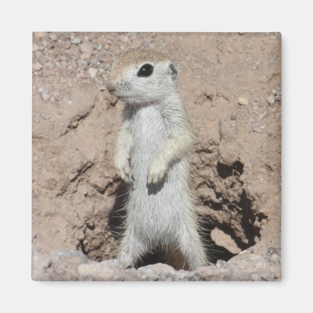 Power Ranger Squirrel Magnet (Vorne)