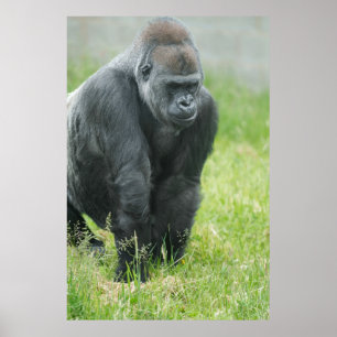 Power und Poise von Ozala Poster