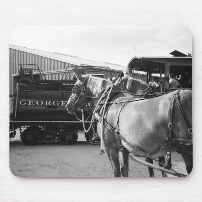 Power und Power Mousepad (Vorne)