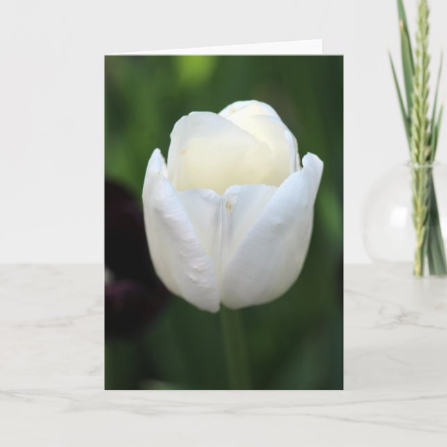 "Powerful" Blank Notecard Karte (Vorderseite)