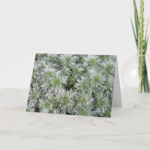 Powis Schloss-Wermut Karte