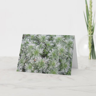 Powis Schloss-Wermut Karte