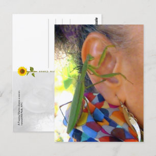 Prachen Mantis teilt ein Geheimnis - V Postkarte