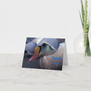 Prachteiderente Männchen Dankeskarten Dankeskarte