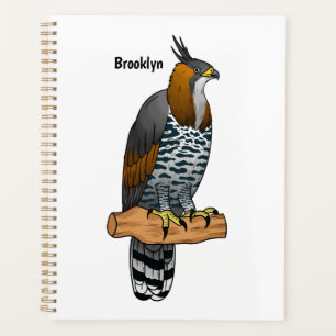 Prächtige Habichtadler-Vogel-Cartoon-Illustration Planer