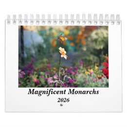 Prächtige Monarchfalter 2025 Kalender