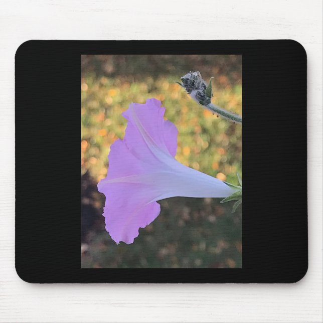 Prächtige Trichterwinde in Rosa und Gold  Mousepad (Vorne)