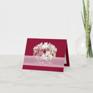 Prächtiger eleganter weißer Orchideencluster Danke