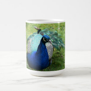 Prächtiger Pfau Kaffeetasse