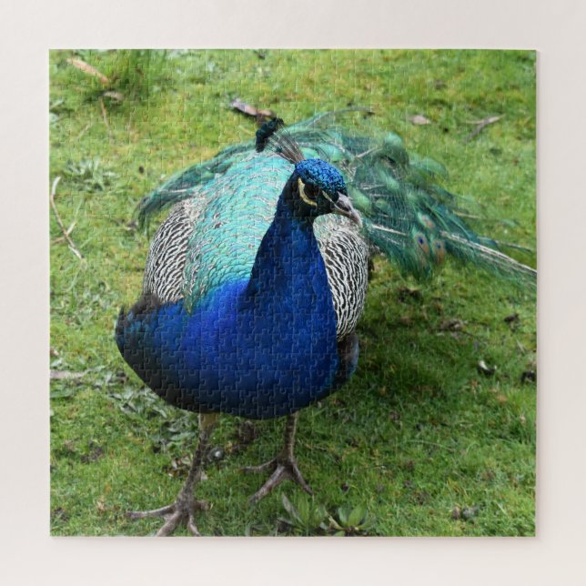 Prächtiger Pfau-Power Puzzle (Vertikal)