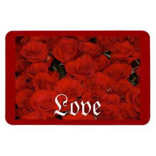 PRÄCHTIGER STRAUSS ROTER ROSEN MAGNET