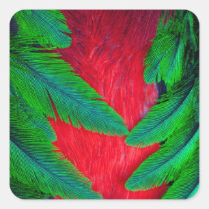 Prächtiges Quetzal-Federdesign Quadratischer Aufkleber