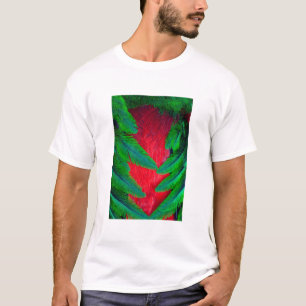 Prächtiges Quetzal-Federdesign T-Shirt