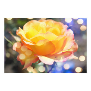 Prachtvolle gelbe Rosenblume. Florale Fotografie