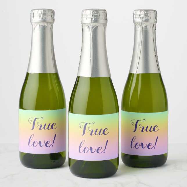 Prachtvolle Pastel-Rainbow-Hochzeit (Flaschen)