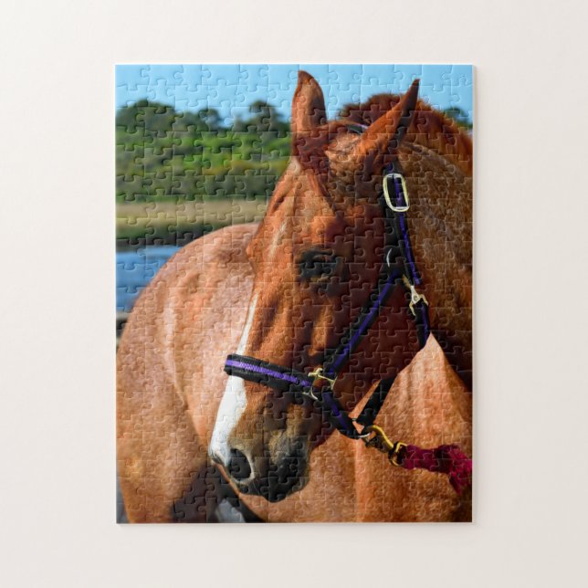 Prachtvolles Pferd Puzzle (Vertikal)