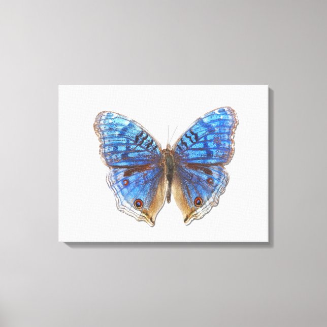 Präcis-Rhadama Leinwanddruck (Vorderseite)