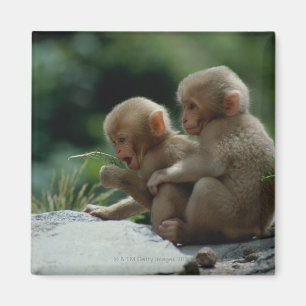 Präfektur Nagano, Japan Magnet