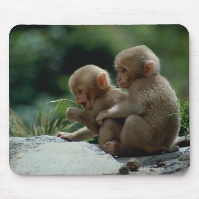 Präfektur Nagano, Japan Mousepad (Vorne)