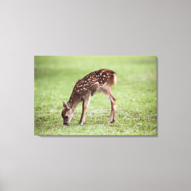 Präfektur Nara, Honshu, Japan 3 Leinwanddruck (Vorderseite)