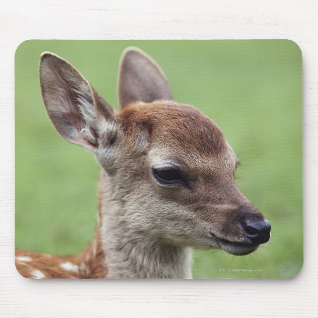 Präfektur Nara, Honshu, Japan Mousepad (Vorne)