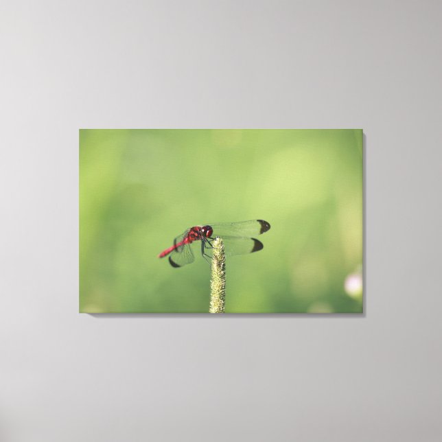 Präfektur Yamanashi, Honshu, Japan Leinwanddruck (Vorderseite)