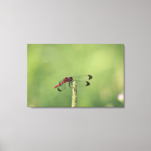 Präfektur Yamanashi, Honshu, Japan Leinwanddruck