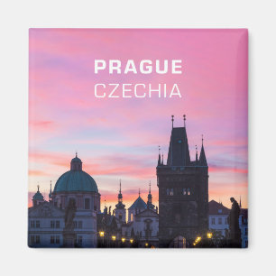 Prag 012B Magnet