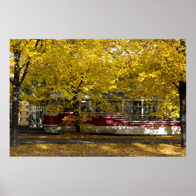 Prager Straßenbahn im Herbst Splendor Poster (Vorne)