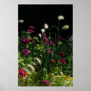 Prague Park Flower Garden Poster